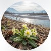 primavera sul tagliamento 